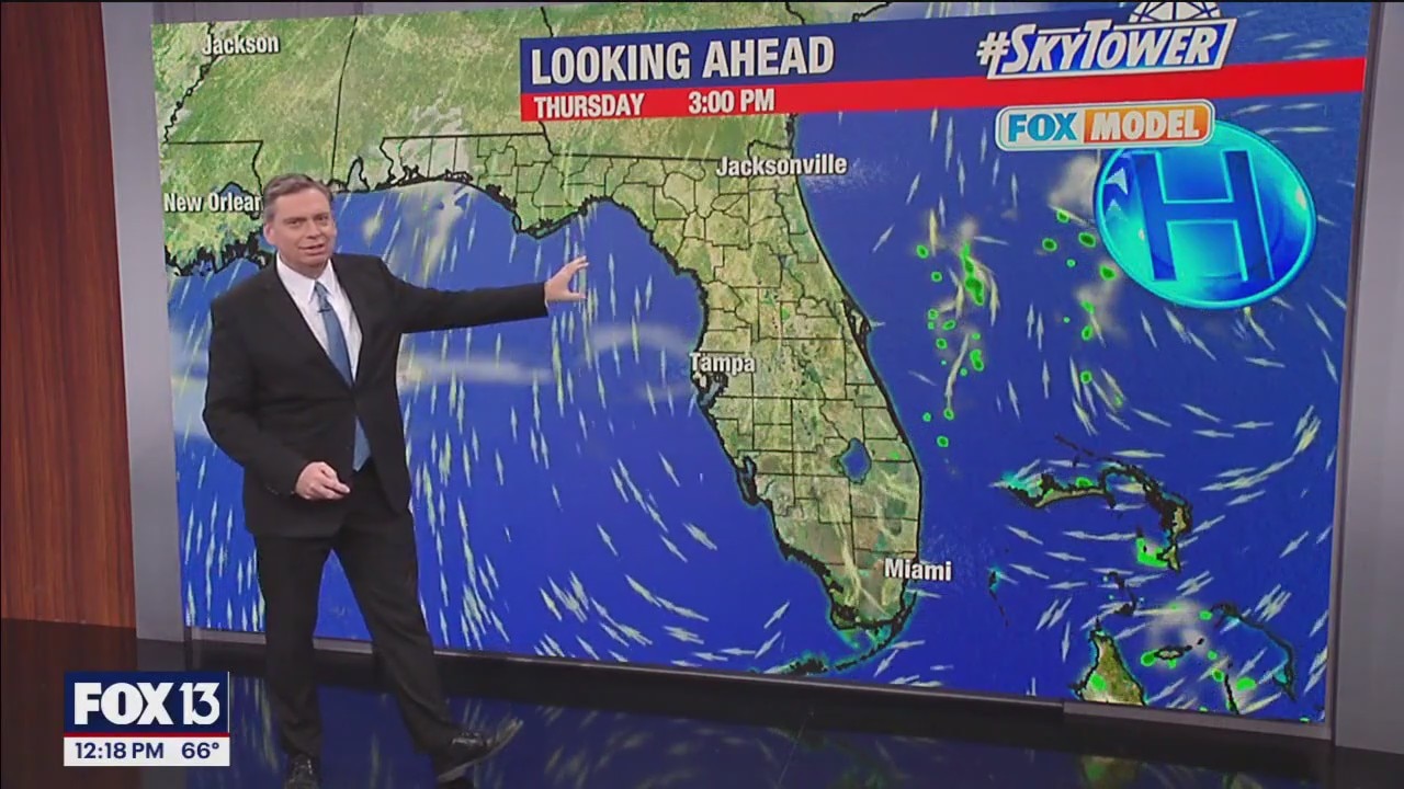 Tampa weather | Loads of sunshine, wind dying down