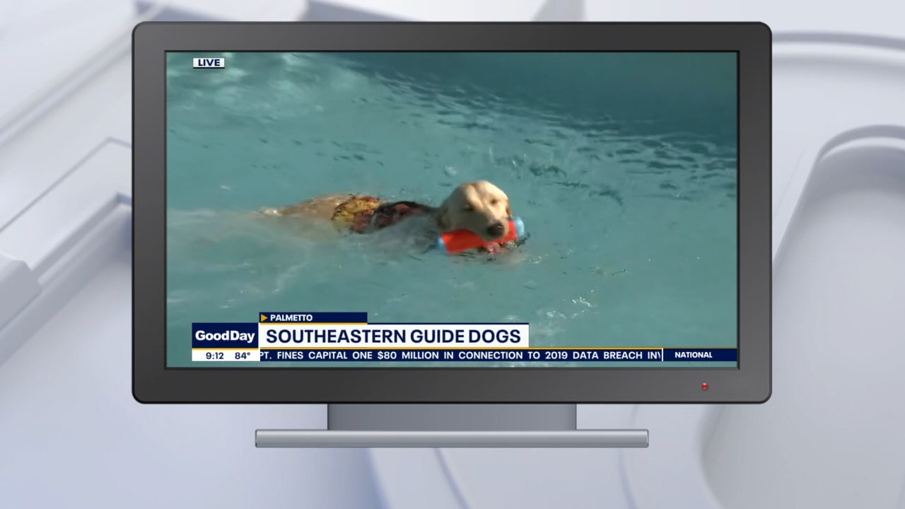 Good Day Goodies: August 14, 2020