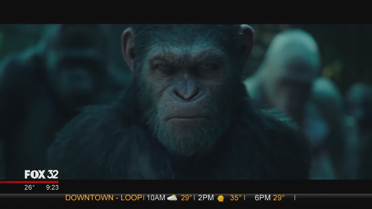 Steve Zahn talks 'War for the Planet of the Apes'