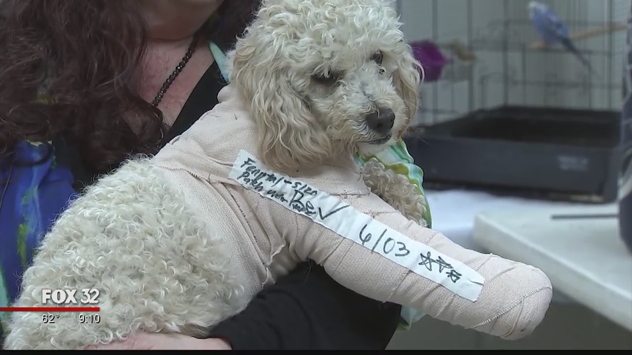 Man charged with dropping 2 poodles five floors from Christ Hospital