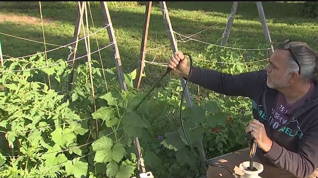 Trellising plants is ?super important?