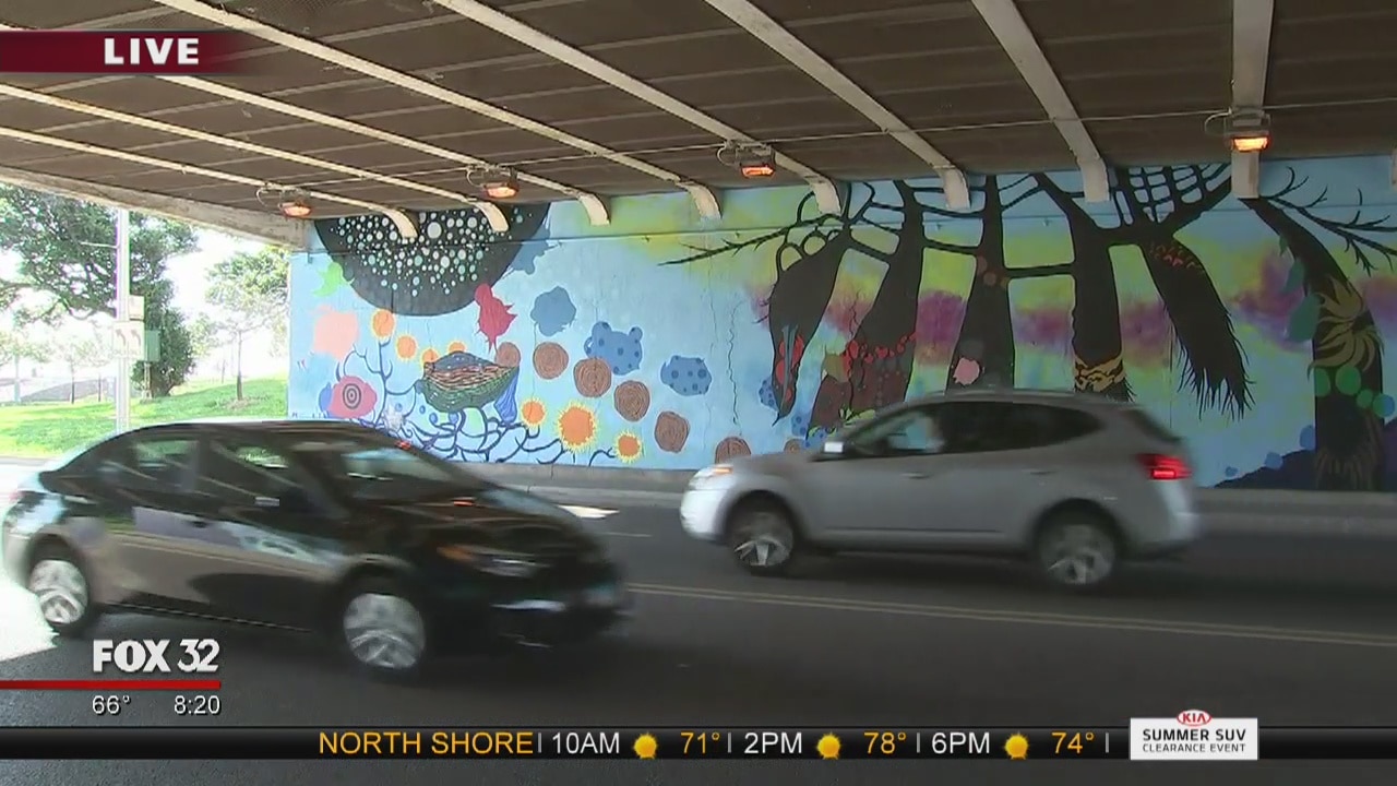 Artist creates impeccable murals along Lake Shore Drive underpass