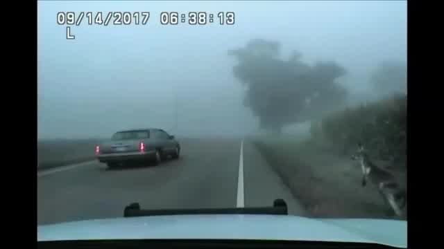 Up in the Wisconsin outback, escaped kangaroo safely recaptured