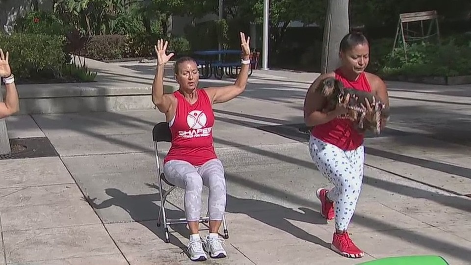 Ways to de-stress at home, work ? pups included