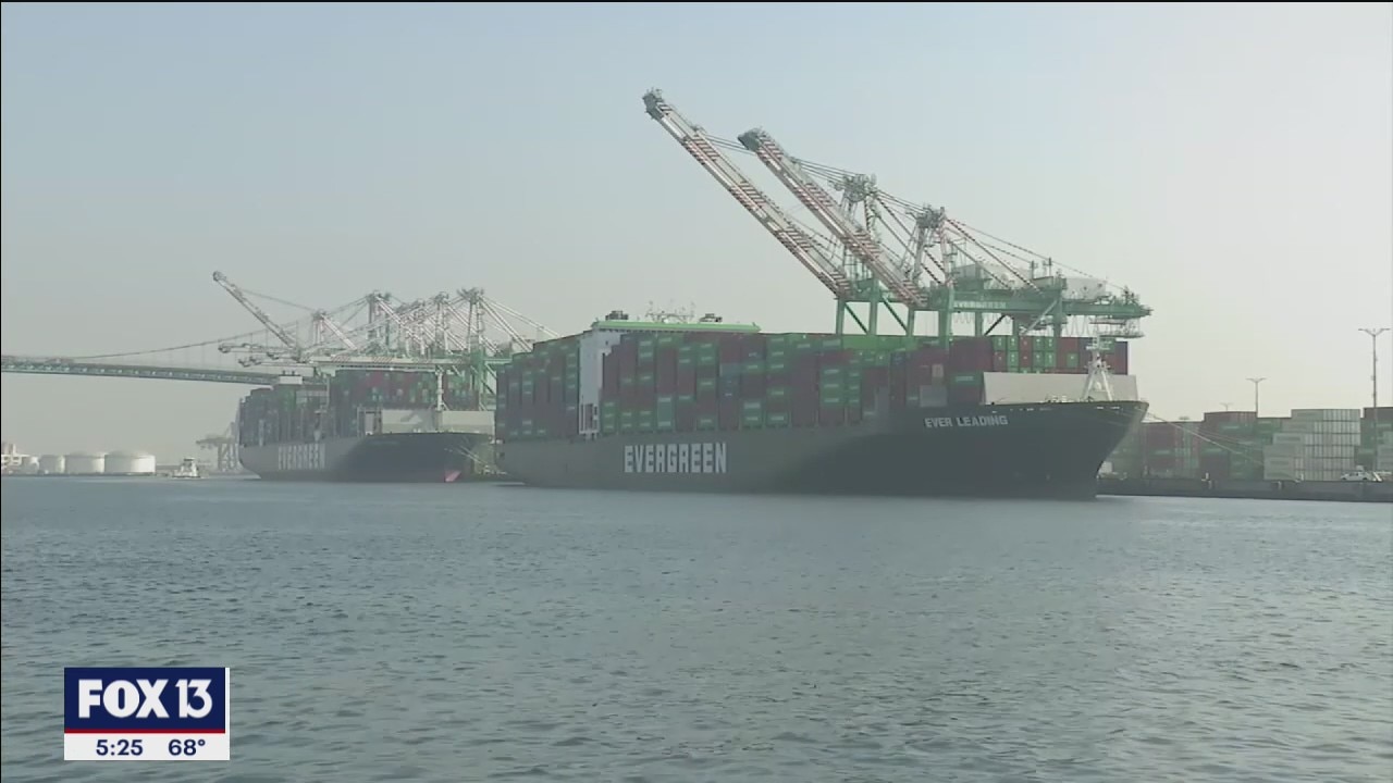 Port Tampa funding and supply chain crisis