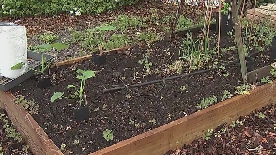 It?s time to plant spring crops