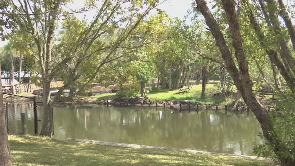 2 women's bodies found in Sarasota