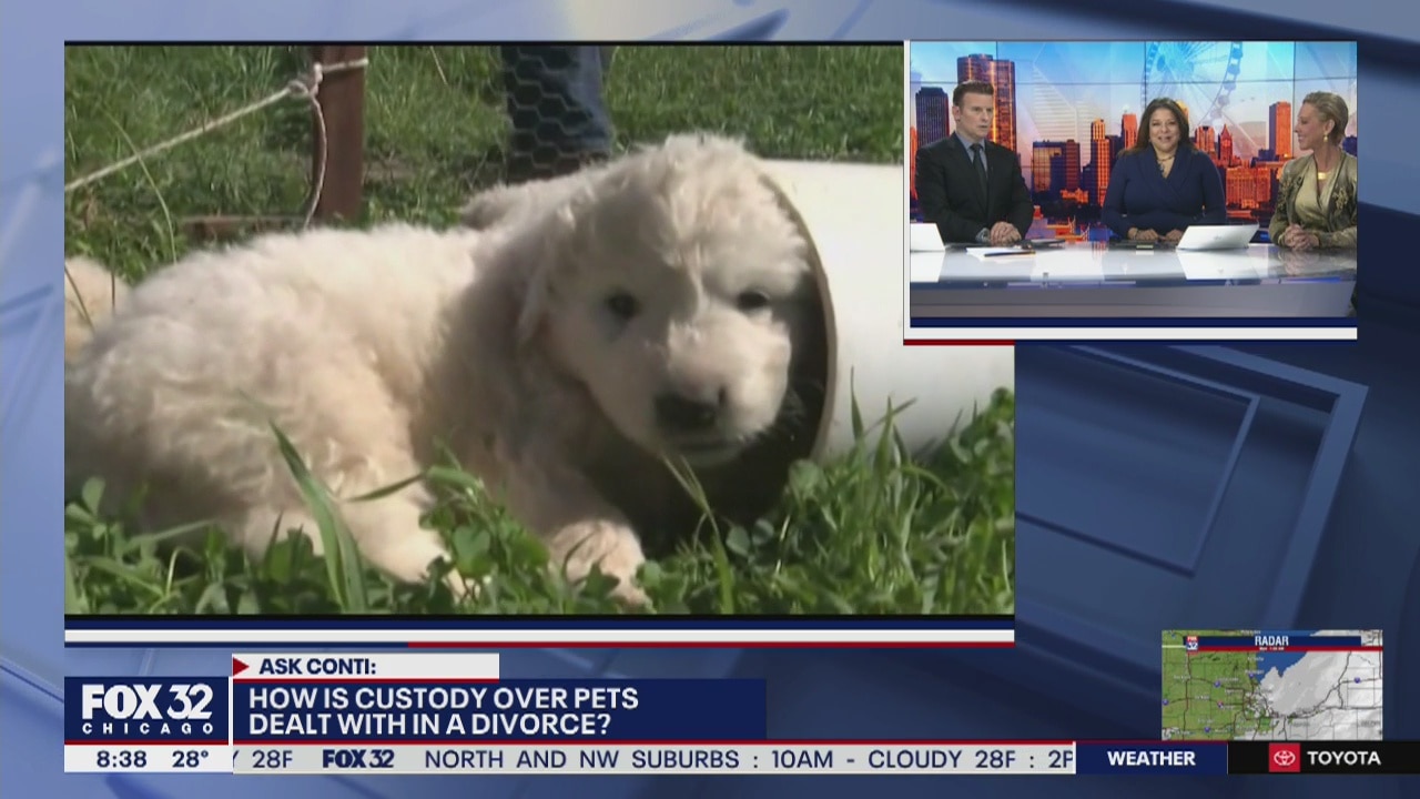 Ask Karen Conti: Legal questions about pets