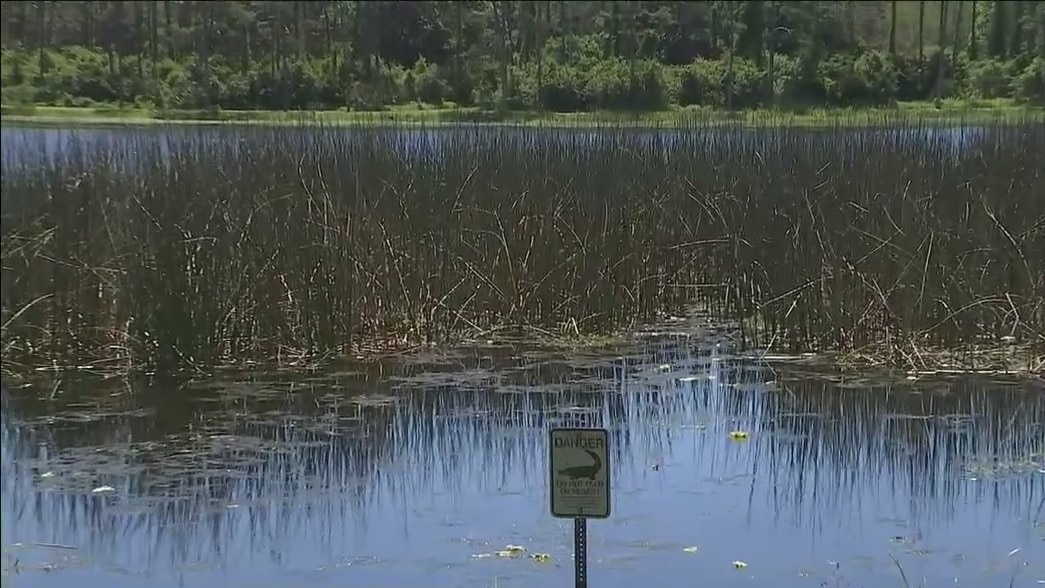 Midday update: Man killed in possible gator attack
