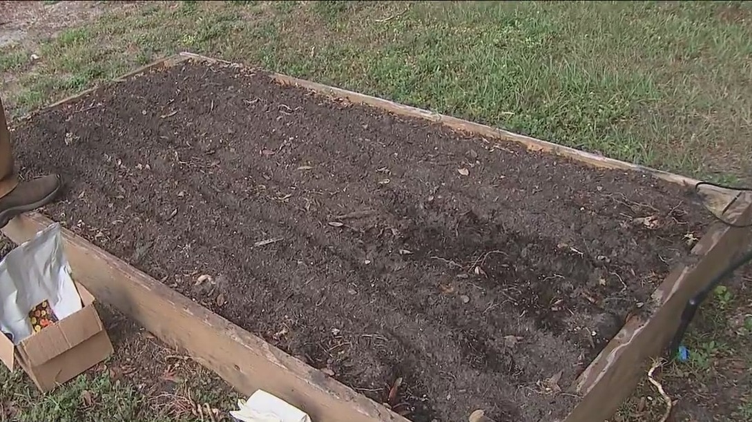 Why you should have a ?cover crop? this summer