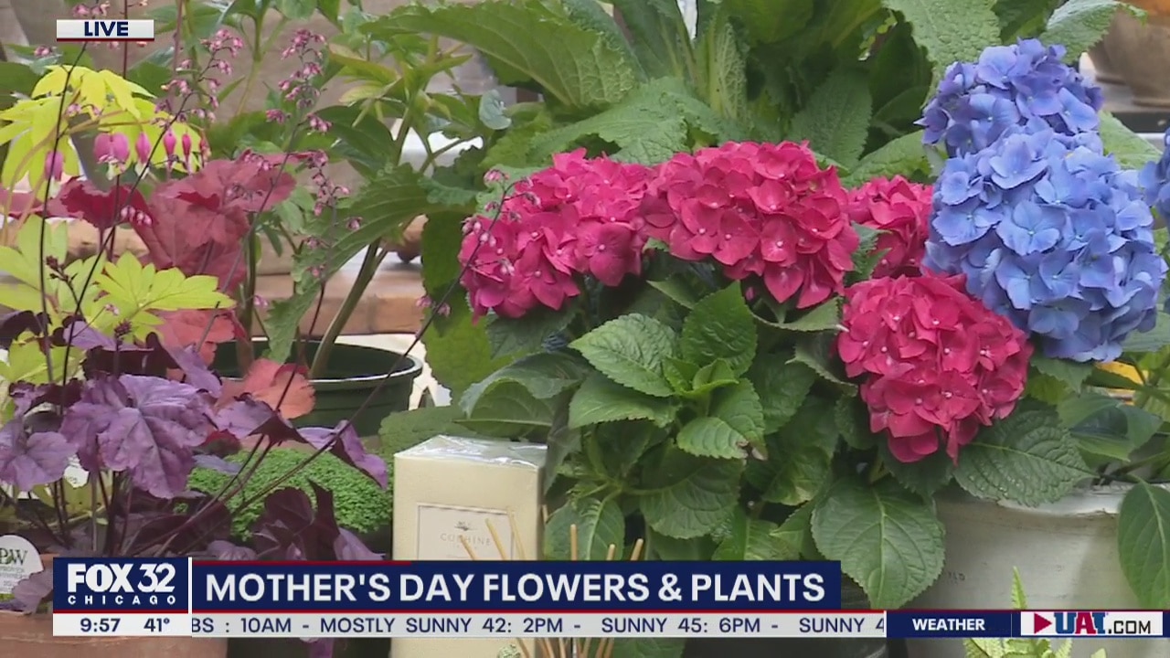Mother's Day gift ideas for garden and flower lovers