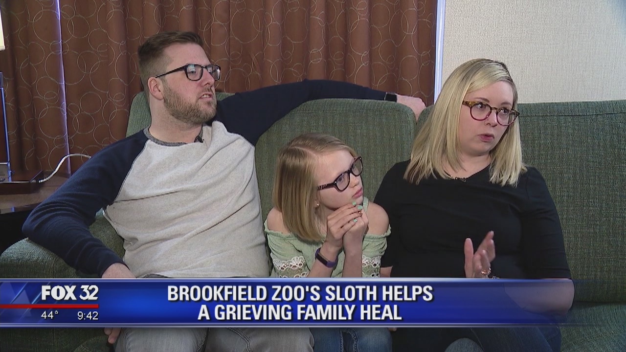 Brookfield Zoo's sloth helps a grieving family heal