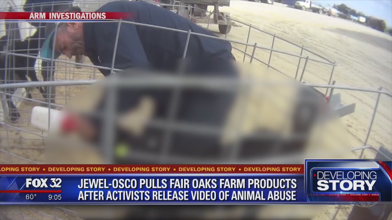 Police investigate alleged animal abuse at famous Indiana farm