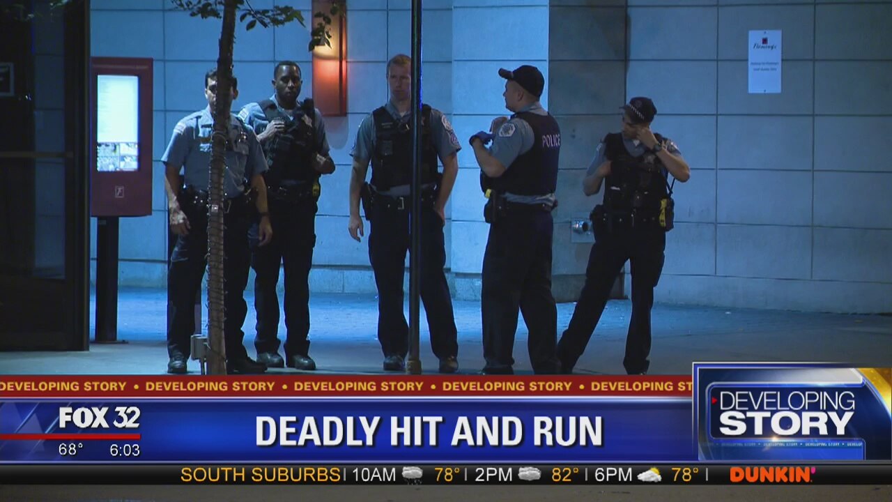 Man killed in Near North Side hit-and-run: police