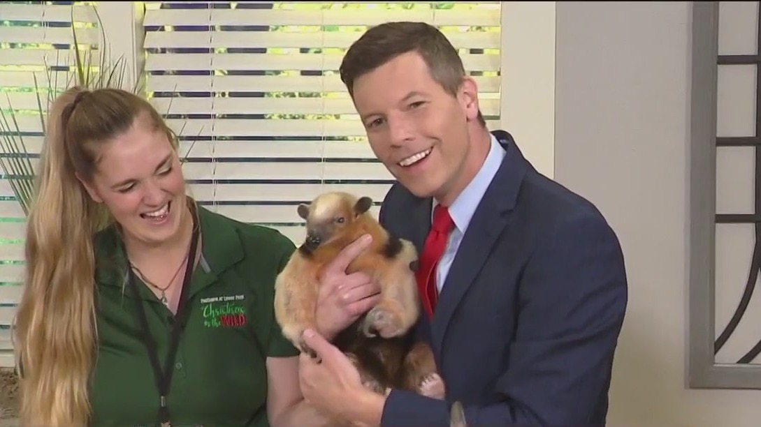ZooTampa brings by special guest to FOX 13