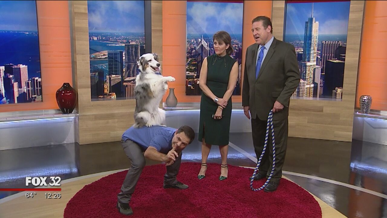 Strengthen the bonds with your dog with 'The Big Book of Tricks for the Best Dog Ever'