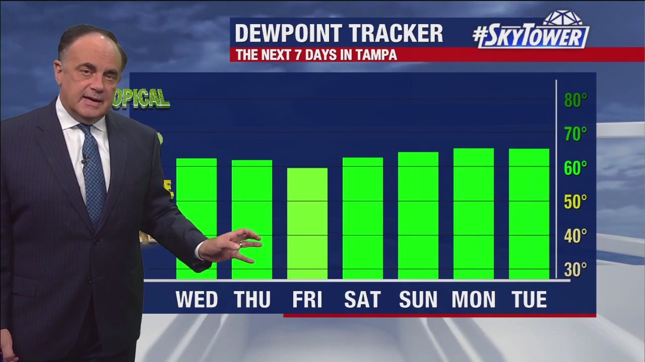 Tampa Weather | Mild night with patchy fog