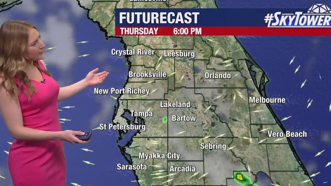 Tampa weather | warmer than average, mainly dry