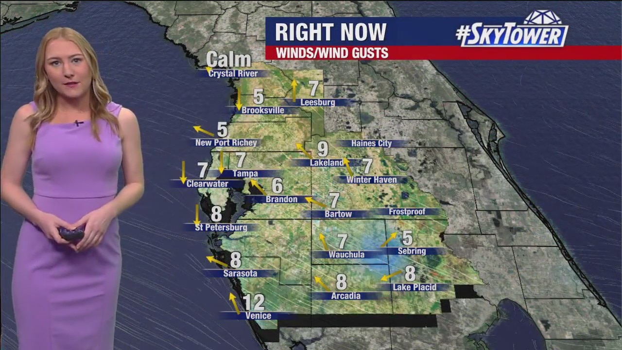 Tampa Weather | Warm, dry day
