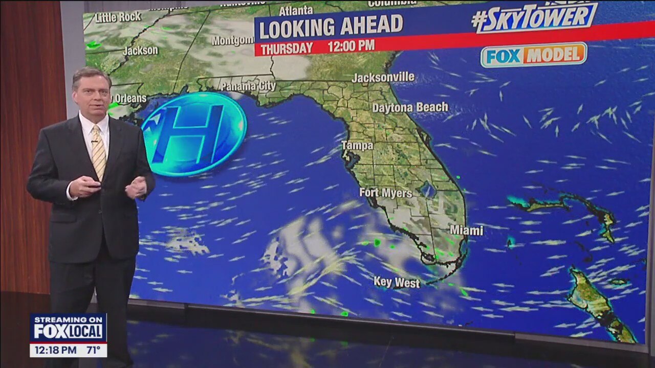 Tampa Weather | Nice day before rain returns