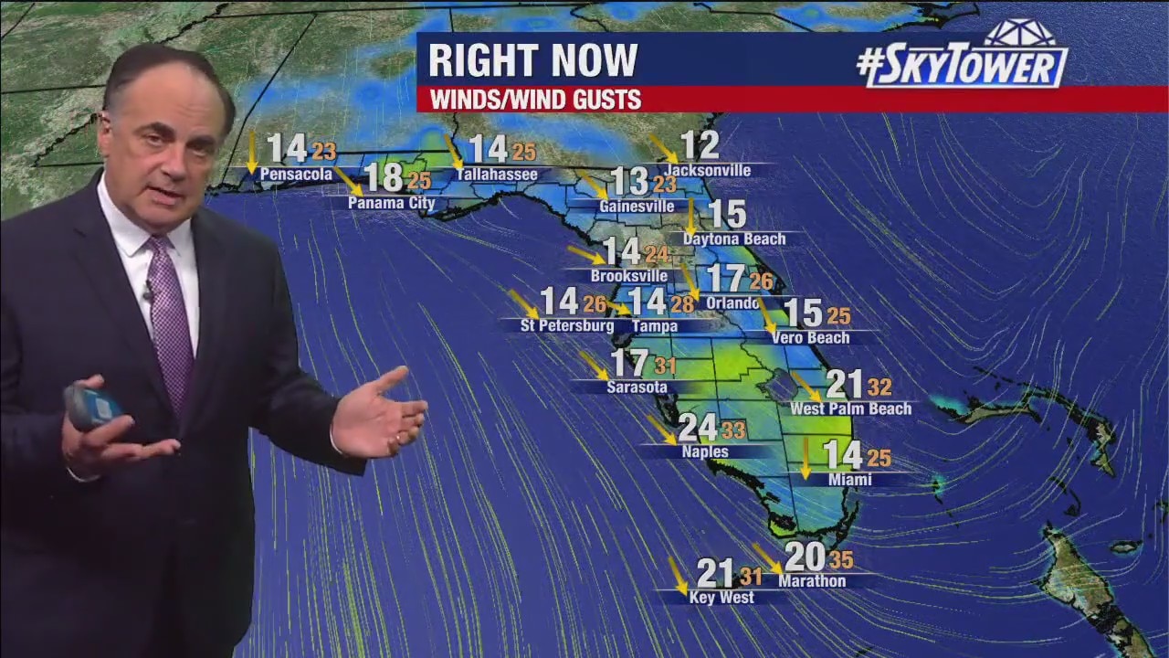 Tampa weather | Dry with gusty winds