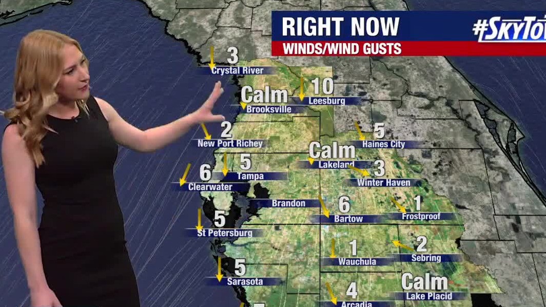 Tampa weather | cold front leaves cooler morning