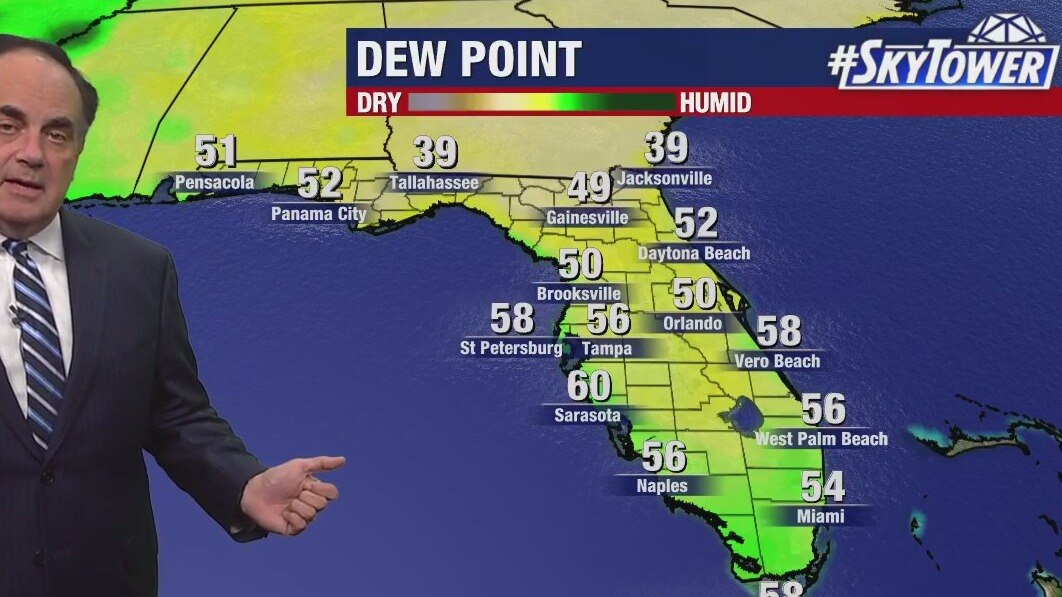 Tampa weather: Clear skies on Saturday