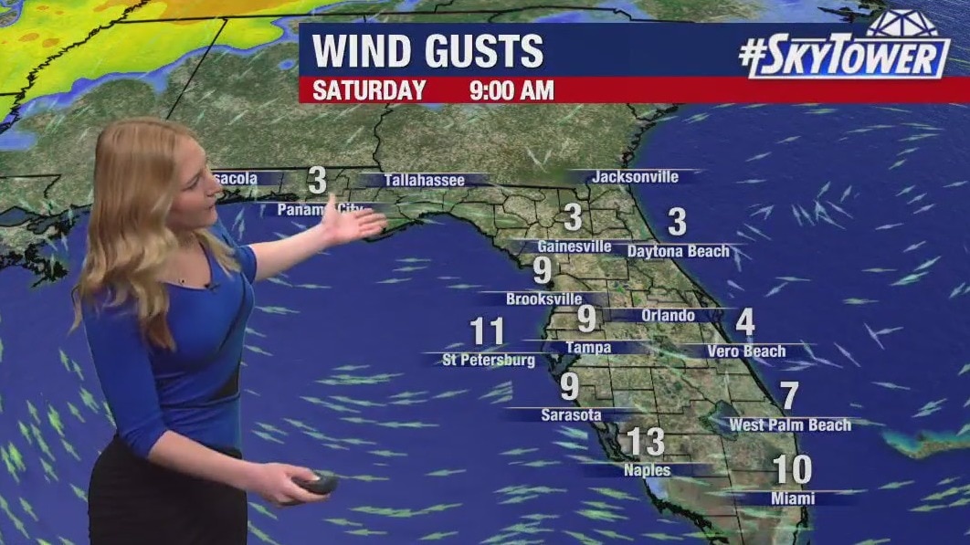 Tampa weather: Warm Saturday in Bay Area