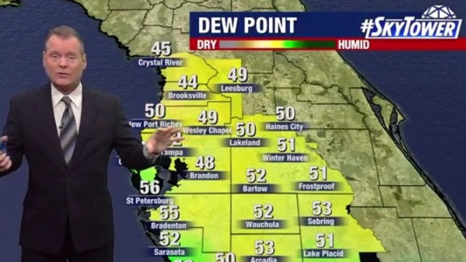 Tampa weather: Sunny, dry Sunday