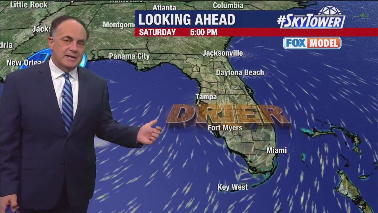 Tampa Bay weather | Sunny weekend ahead