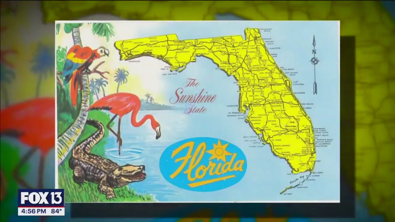 Only in Florida: Unwanted gators captured