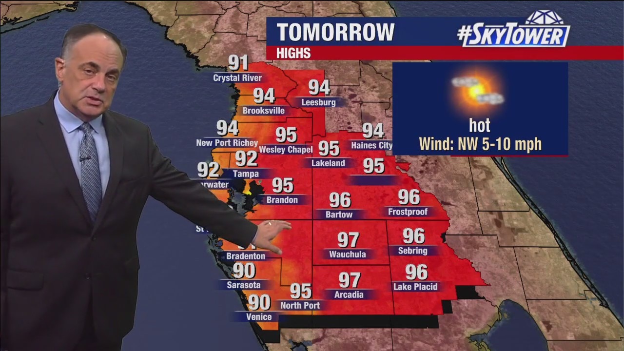 Tampa weather | Hot with sunshine