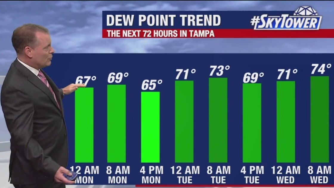 Tampa weather | Hot & mostly sunny