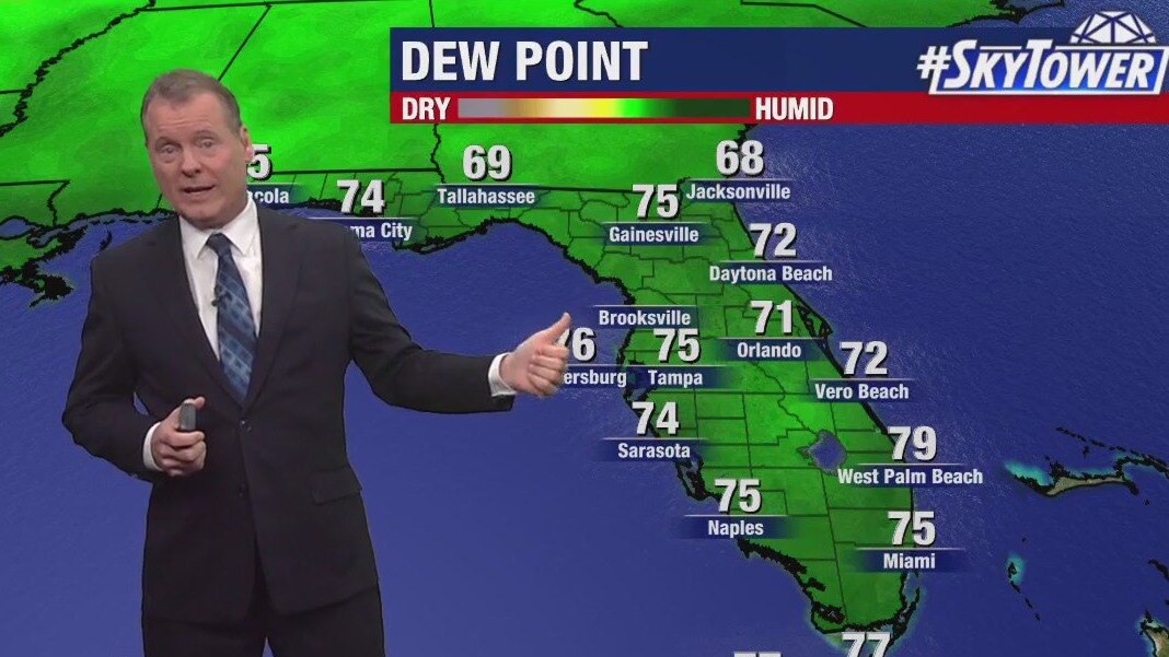 Tampa weather | warm and muggy Tuesday in store