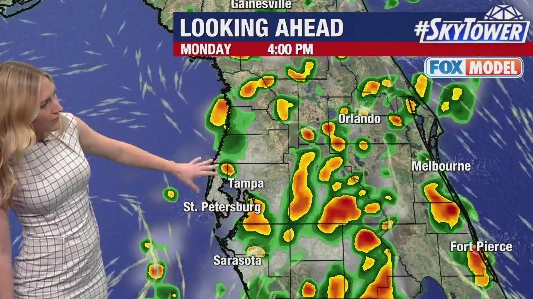 Tampa weather: Partly cloudy across Bay Area