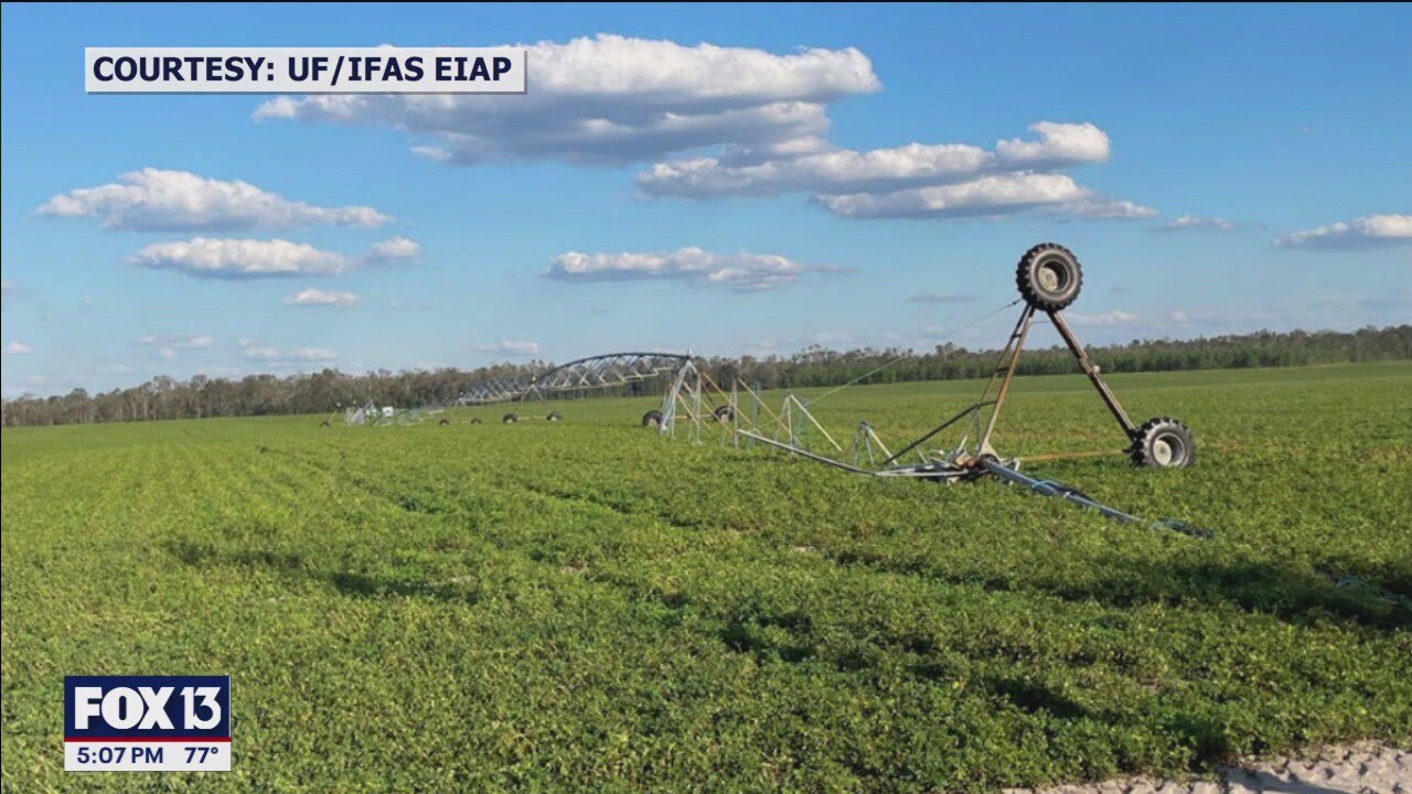 Agriculture industry hit hard by recent hurricanes