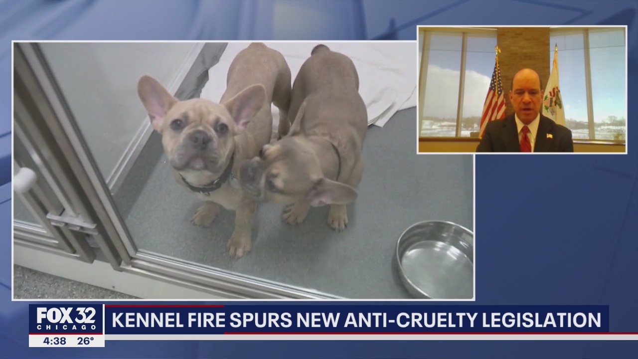 Fire at Chicago area kennel spurs new anti-cruelty legislation