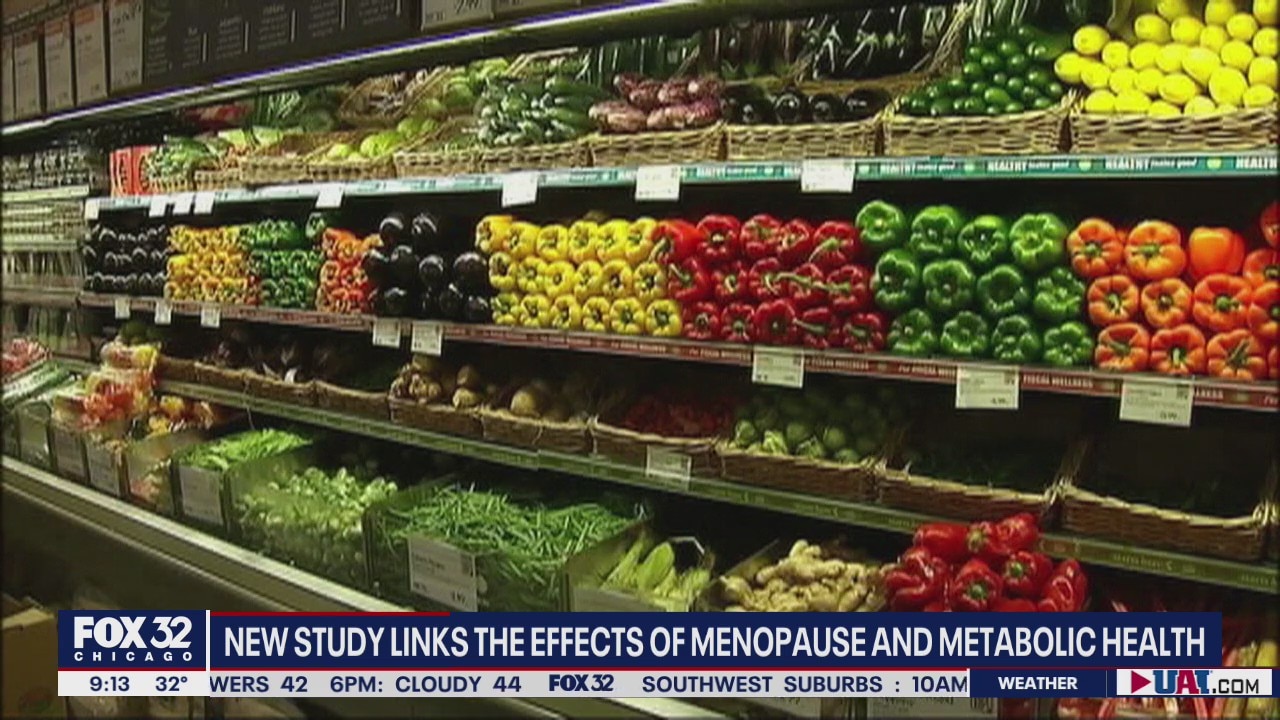 New study links the effects of menopause and metabolic health