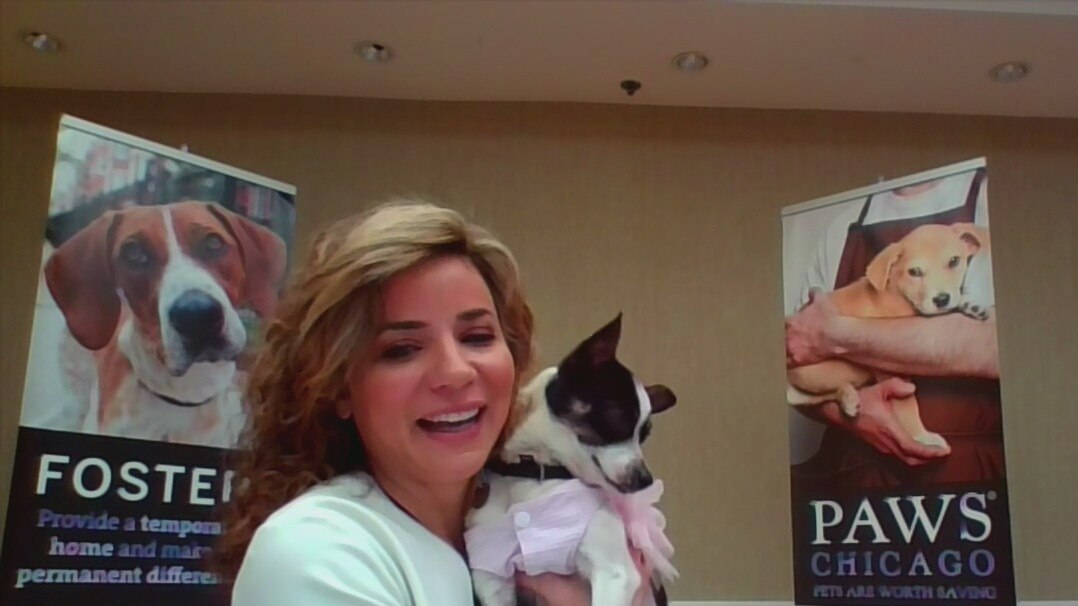 PAWS Chicago looking to pair furry friends with their forever homes during Spring Adopt-a-Thon