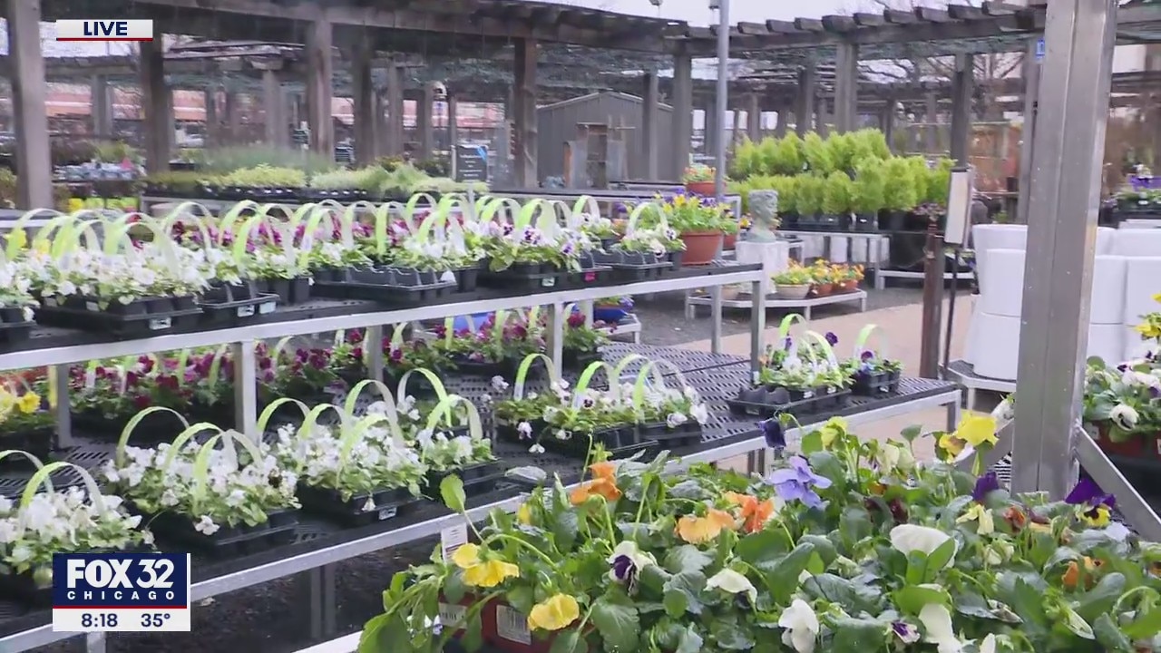 Spring gardening tips as Chicago weather begins to warm up