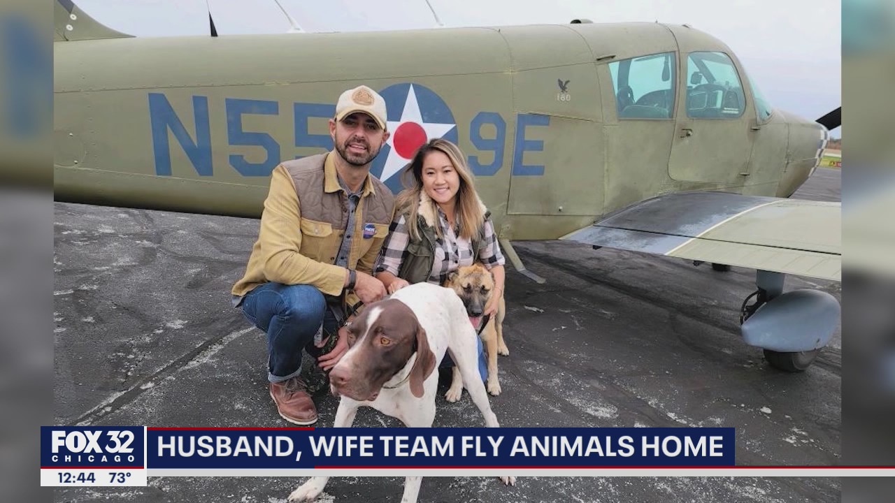 Chicago couple has rescued over 120 animals out of abusive conditions, flown them to their forever homes