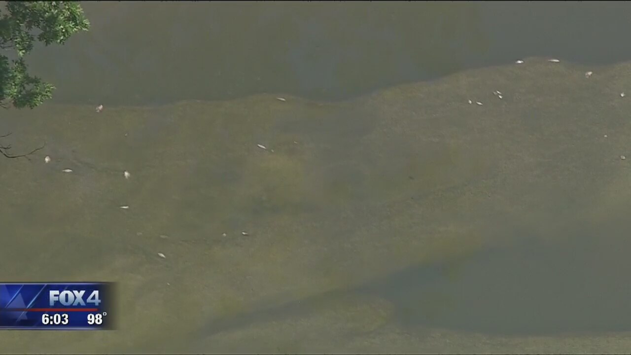 White Rock Creek sewage spill