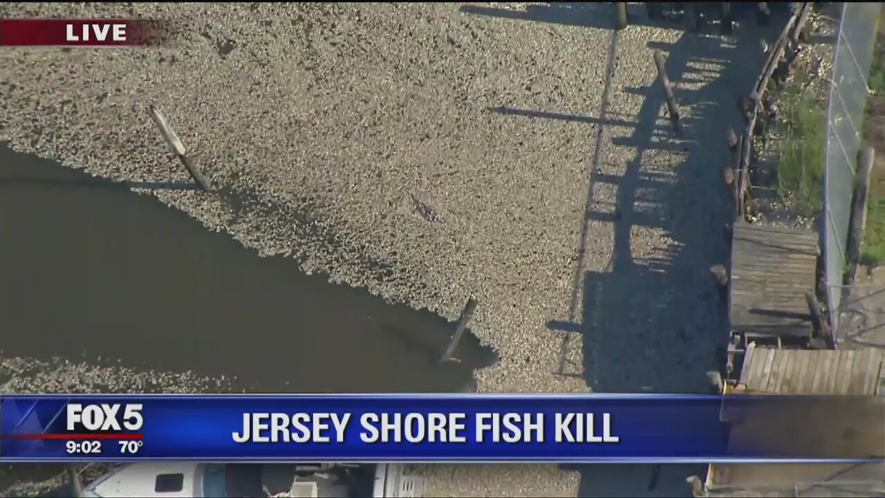What has caused the fish kill in Keansburg?