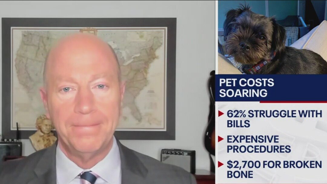 Cost of caring for pets on the rise: Is insurance worth it?