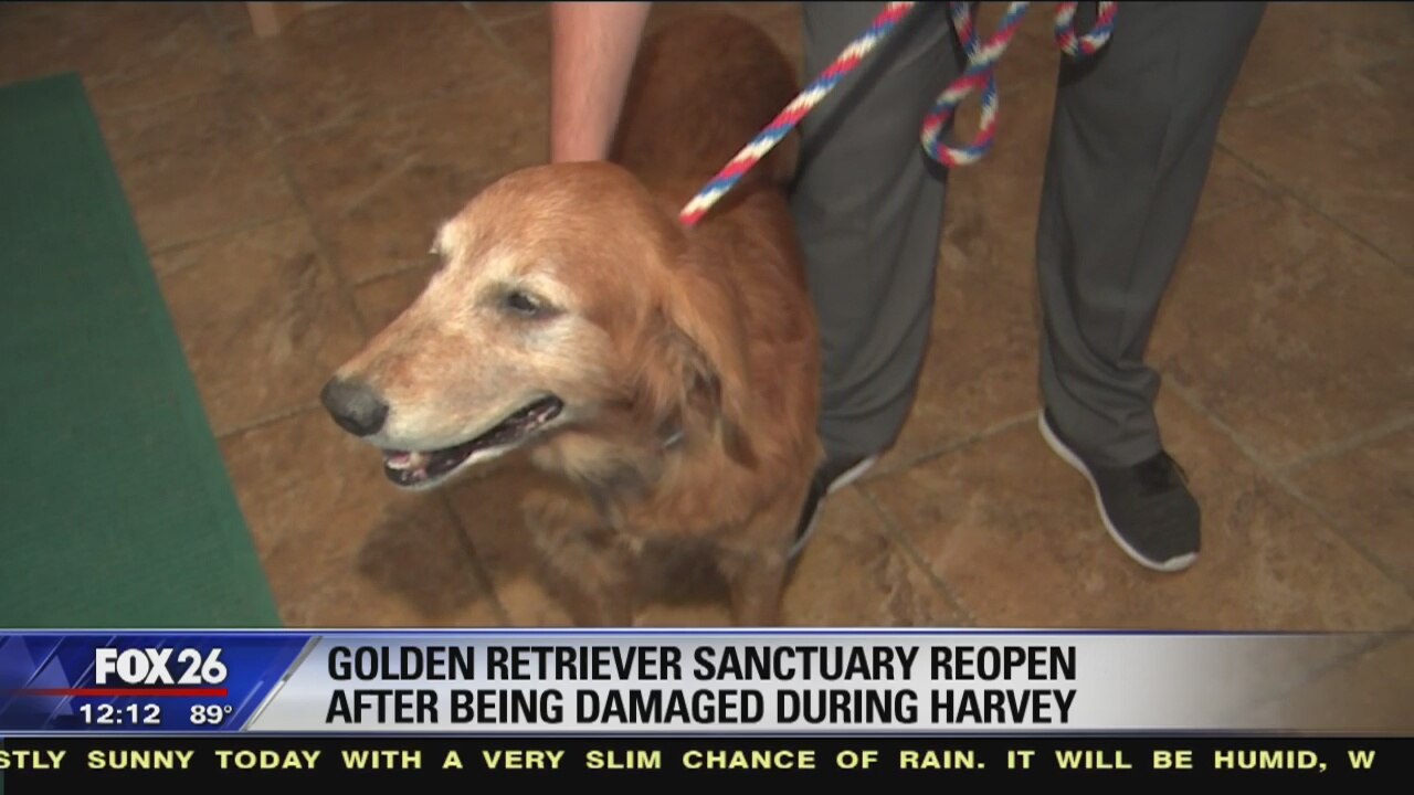 Golden Retriever Acres Senior Sanctuary