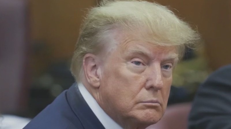 Trump pleads not guilty to 34 felony counts