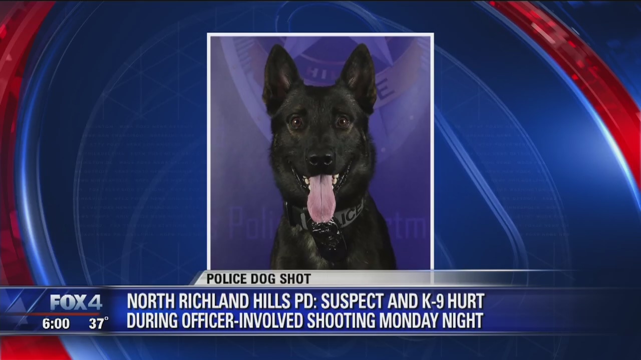 North Richland Hills K-9 hurt in shooting