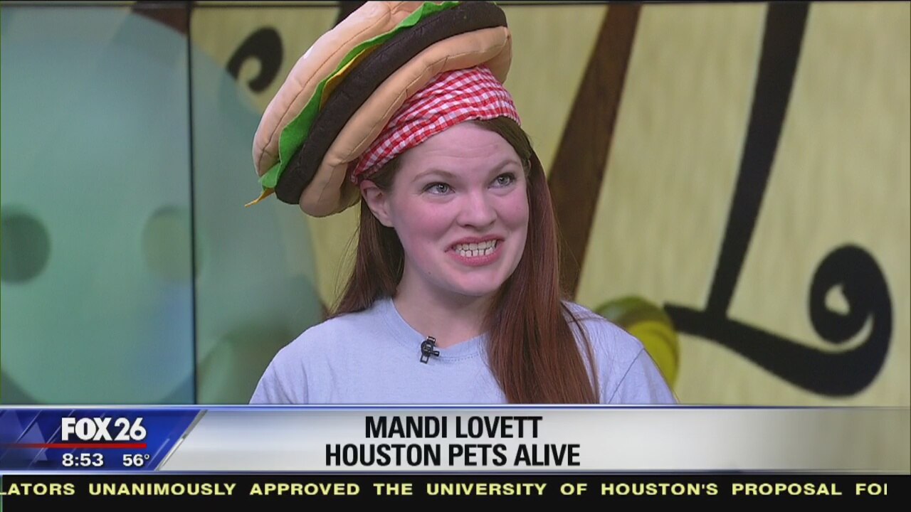 Pawtastic Howloween Pet Promenade