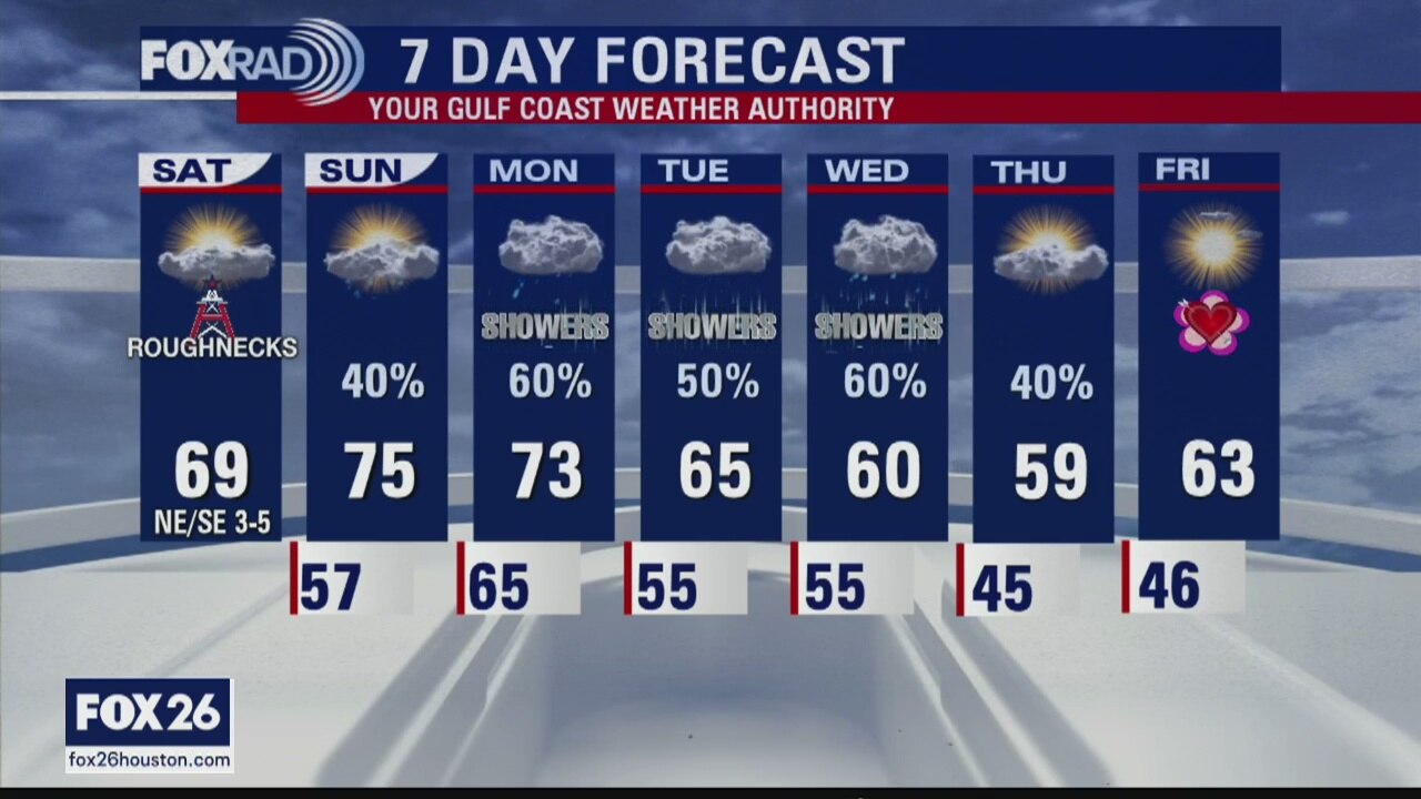 Houston area forecast 2/8