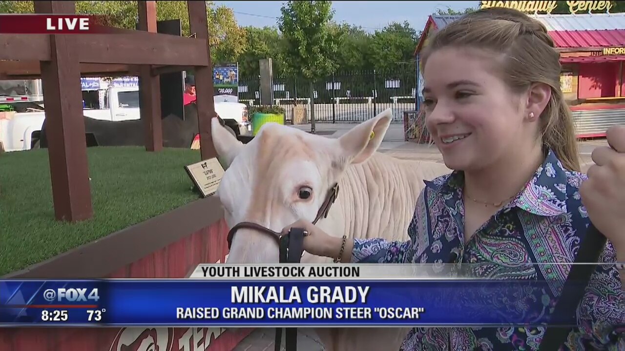 Grandview teen's steer named grand champion at State Fair of Texas